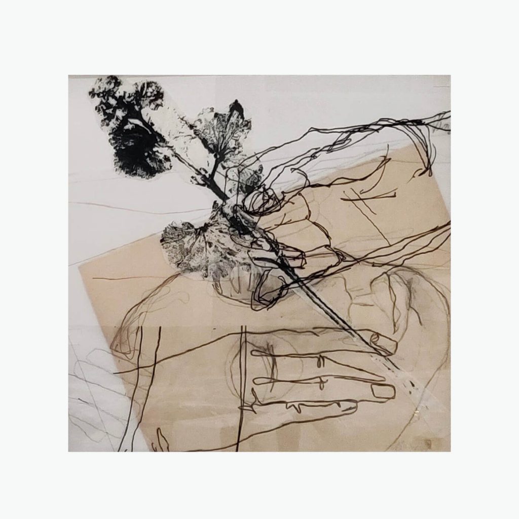 Alchemille II | Nina Urlichs | NoBorder Art Gallery