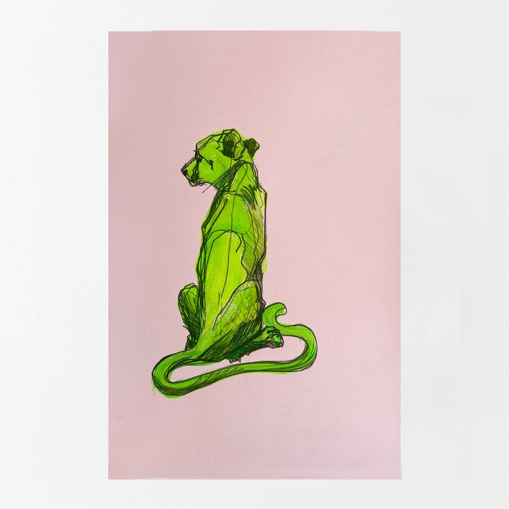 Sarah Edwards - Animalia - Green Cat