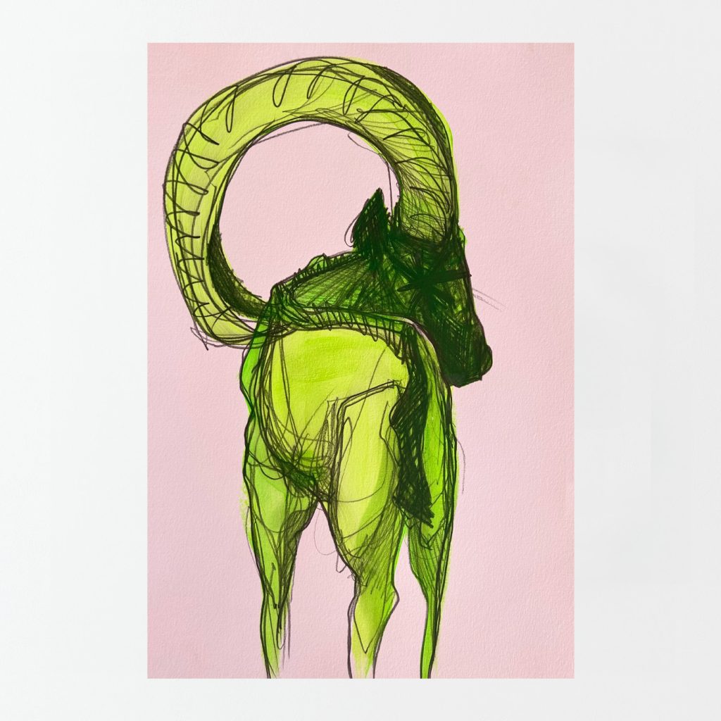Sarah Edwards - Animalia - Green Ram