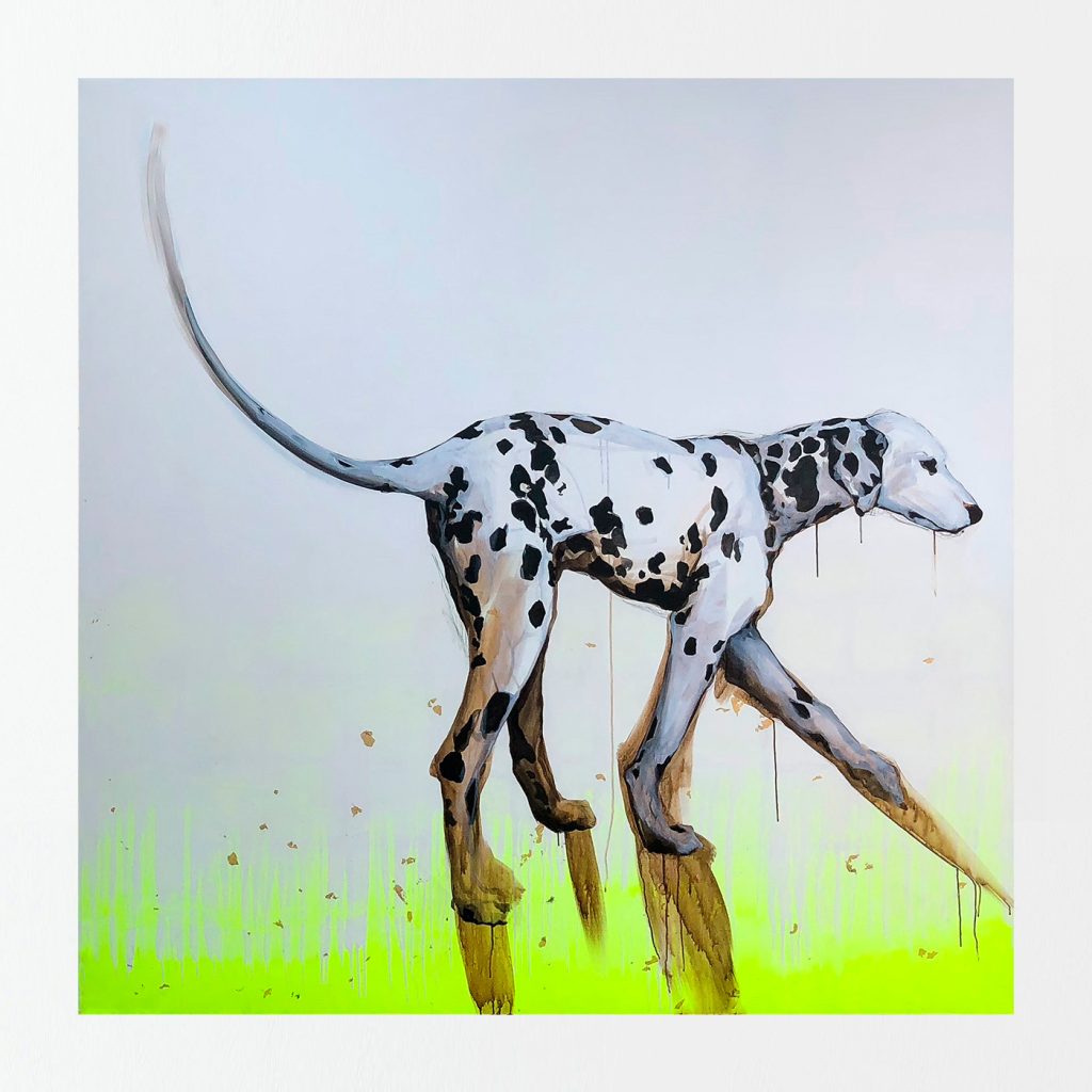 Sarah Edwards - Animalia - Ilton