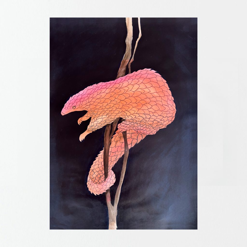 Sarah Edwards - Animalia - Rainbow Pangolin