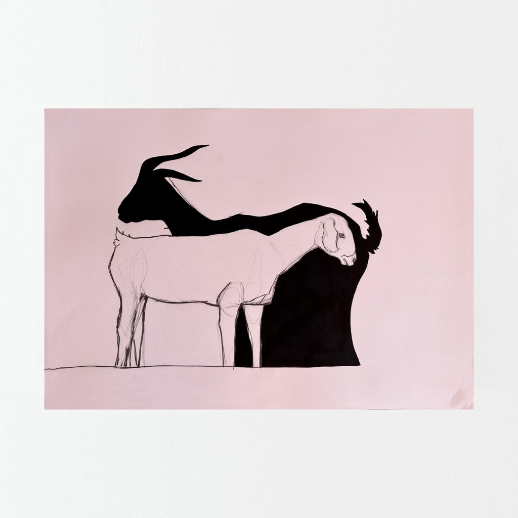 Sarah Edwards - Animalia - Shadow Goat
